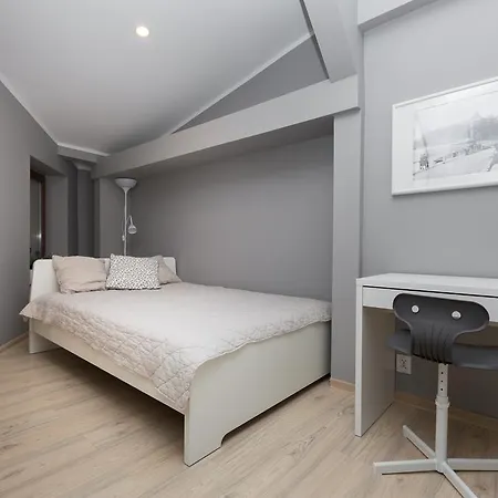 Penthouse With Piano & Old Town View Apartment
